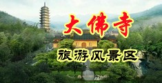 插逼逼MV抽插中国浙江-新昌大佛寺旅游风景区